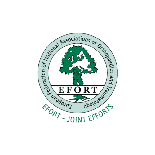 Efort – Joint Efforts